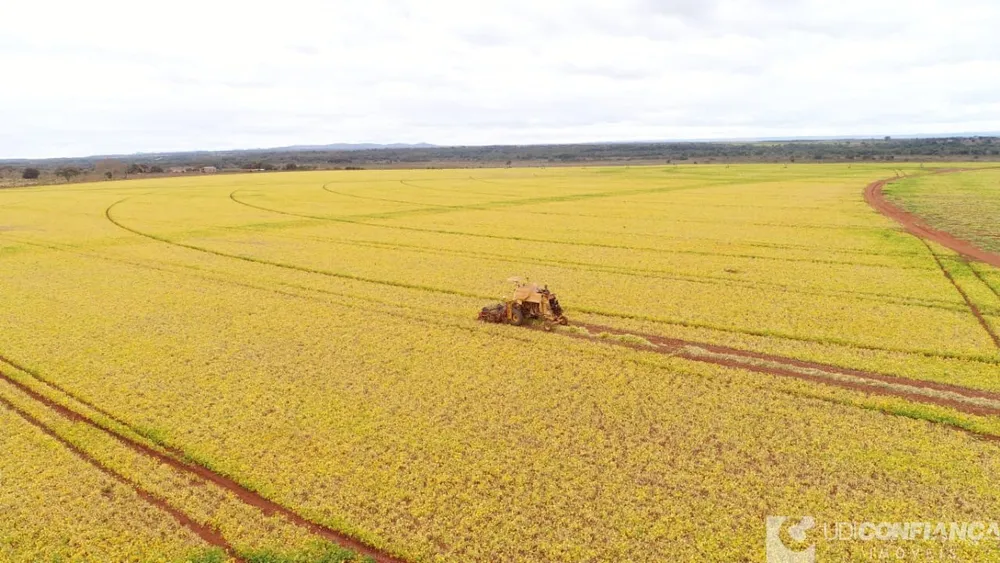 Fazenda - Foto 1