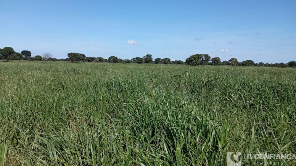 Fazenda-Sítio-Chácara - Foto 4