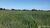 Fazenda - Foto 4