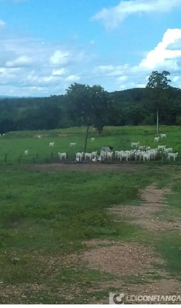 Fazenda - Foto 4