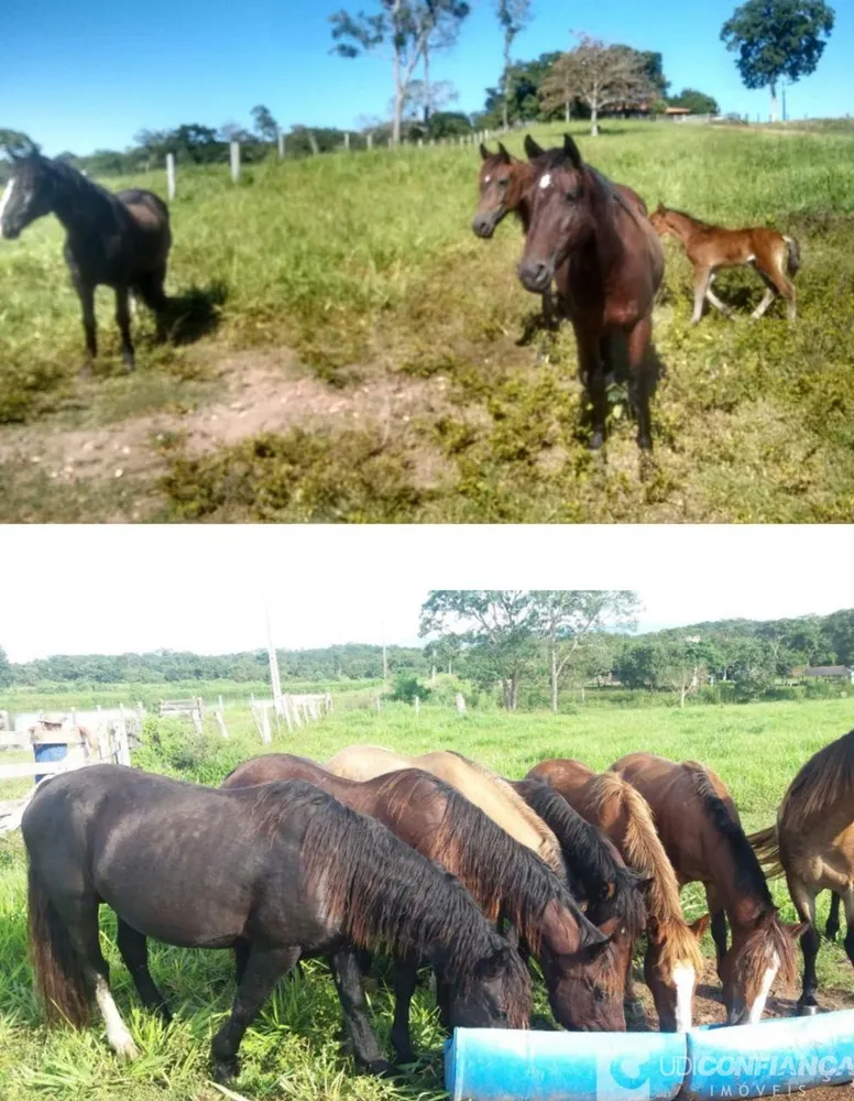 Fazenda - Foto 7
