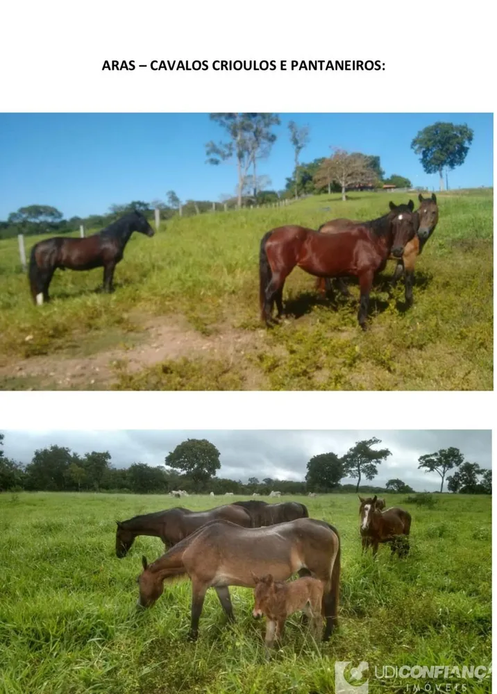 Fazenda - Foto 6