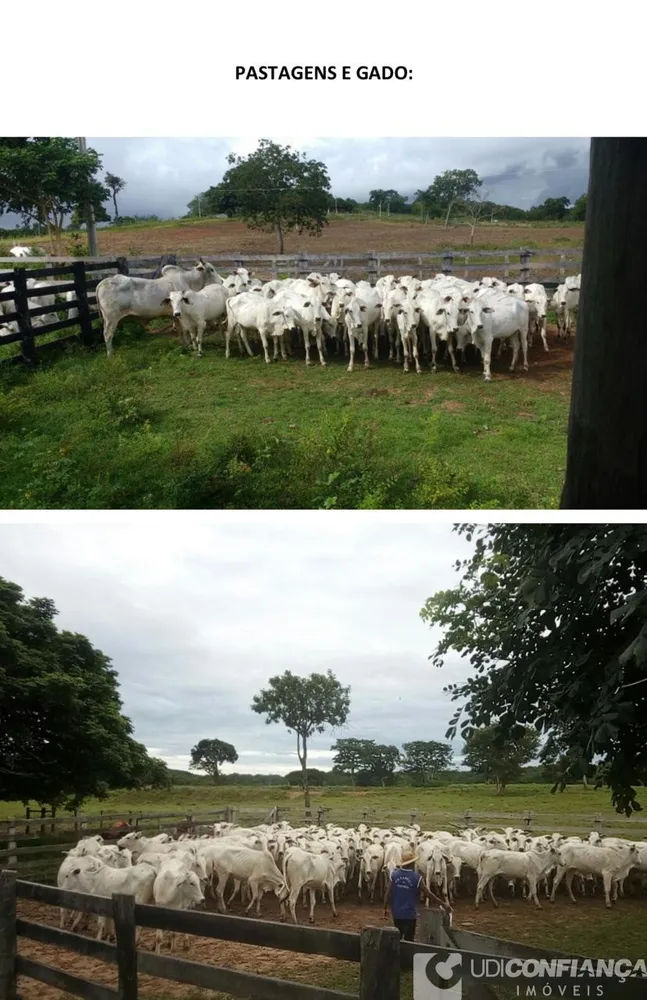 Fazenda - Foto 5