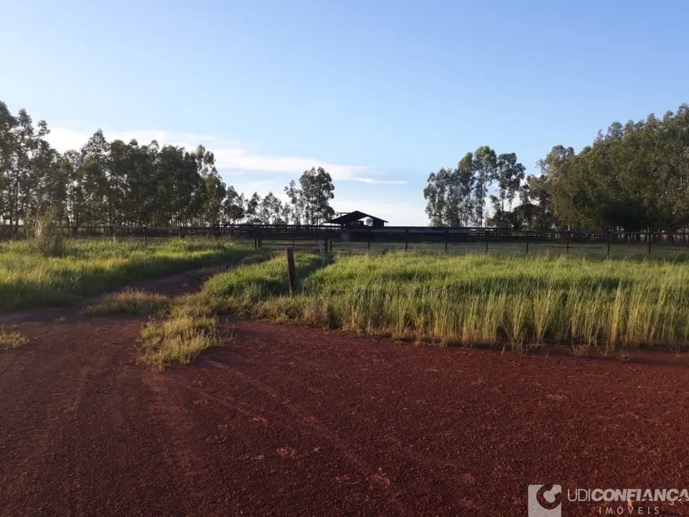 Fazenda - Foto 7