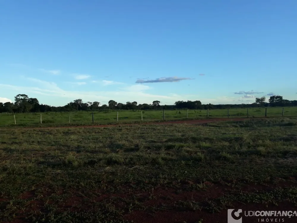 Fazenda - Foto 12