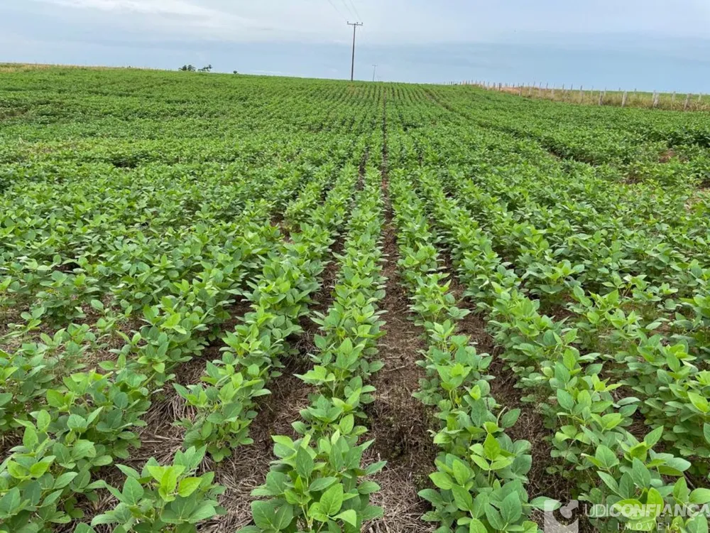 Fazenda - Foto 1