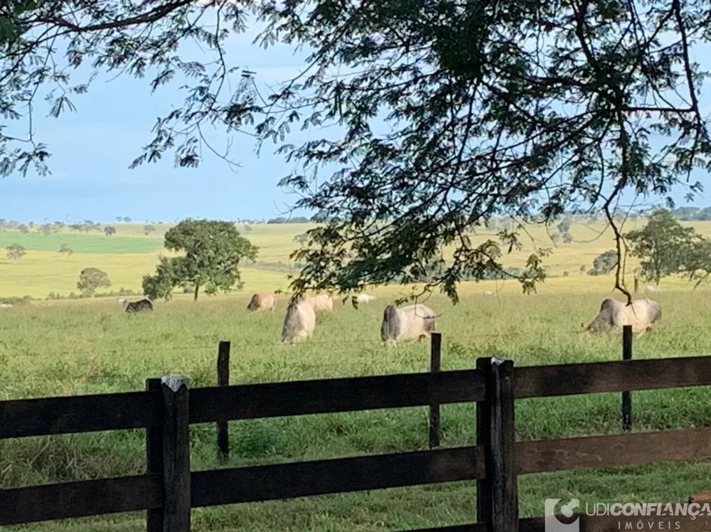 Fazenda - Foto 8