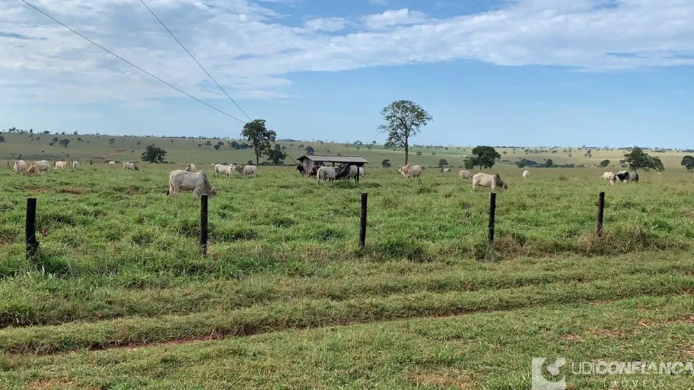 Fazenda - Foto 4