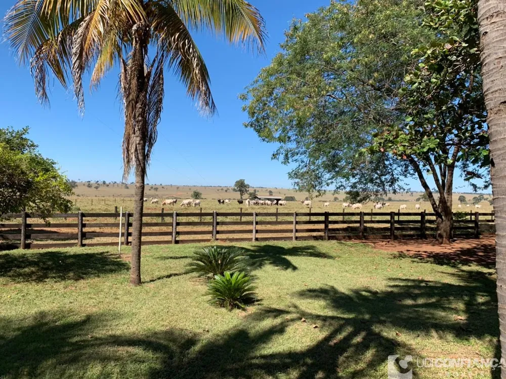 Fazenda - Foto 6