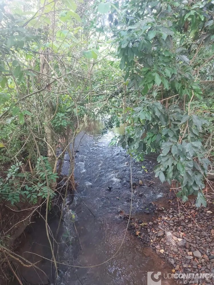 Fazenda - Foto 5