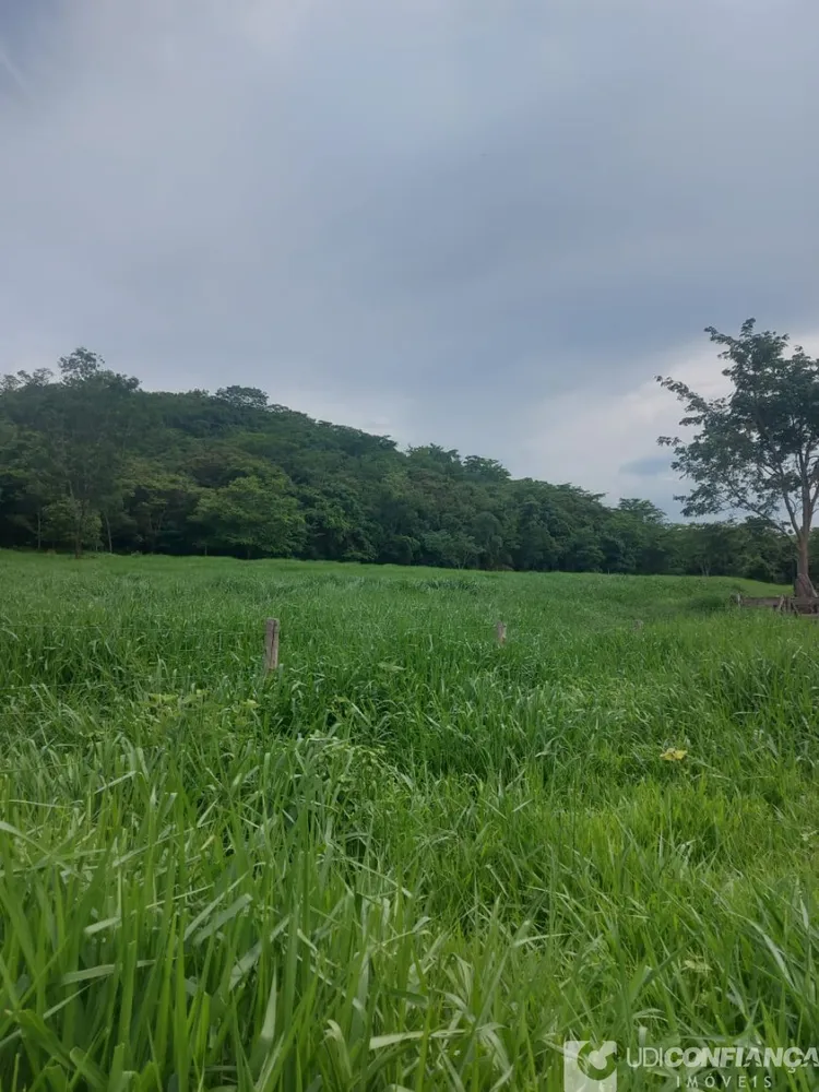 Fazenda - Foto 4
