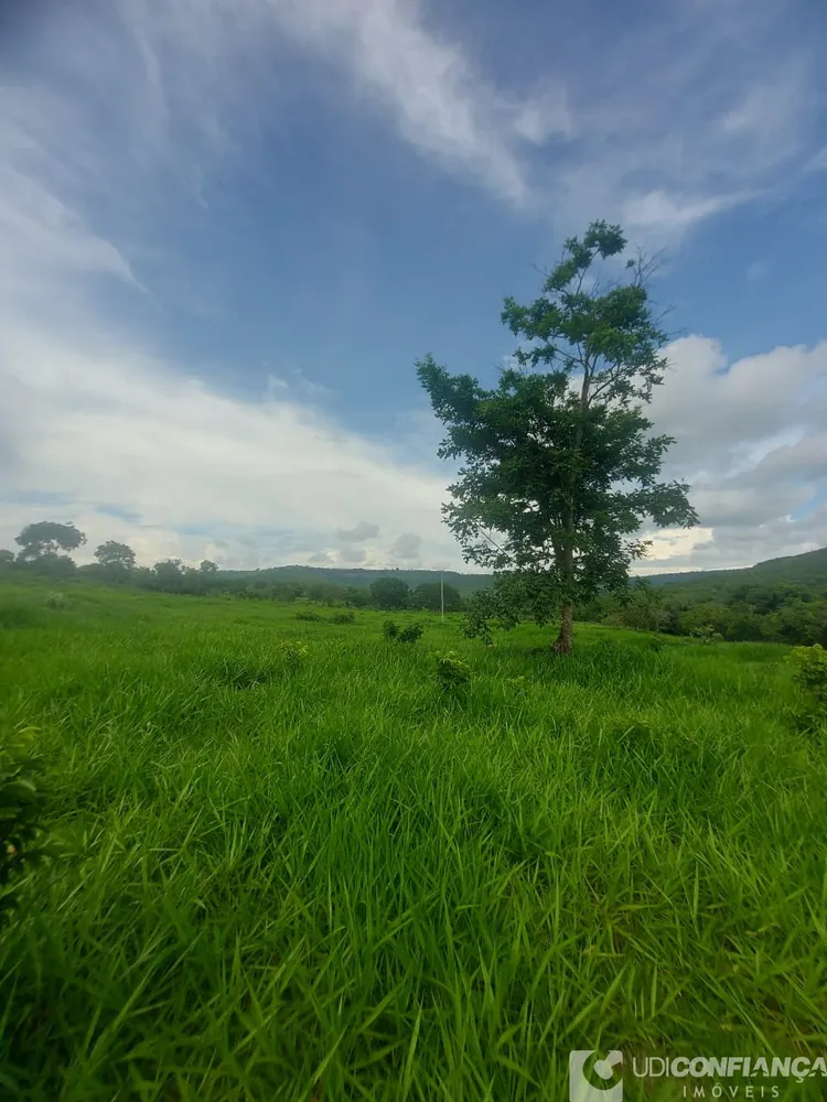 Fazenda - Foto 8