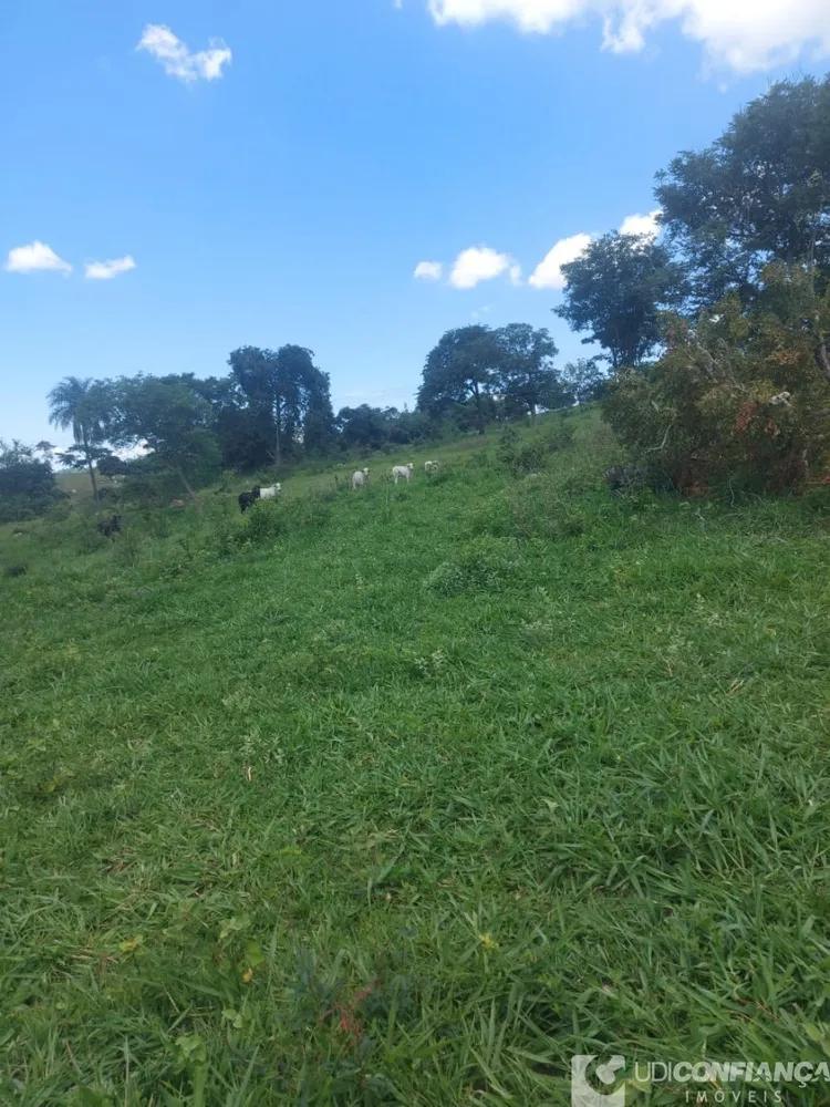 Fazenda - Foto 10