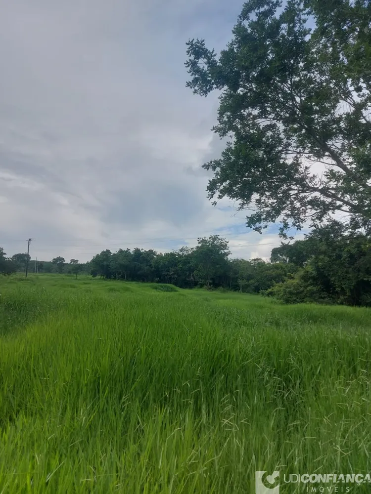 Fazenda - Foto 3