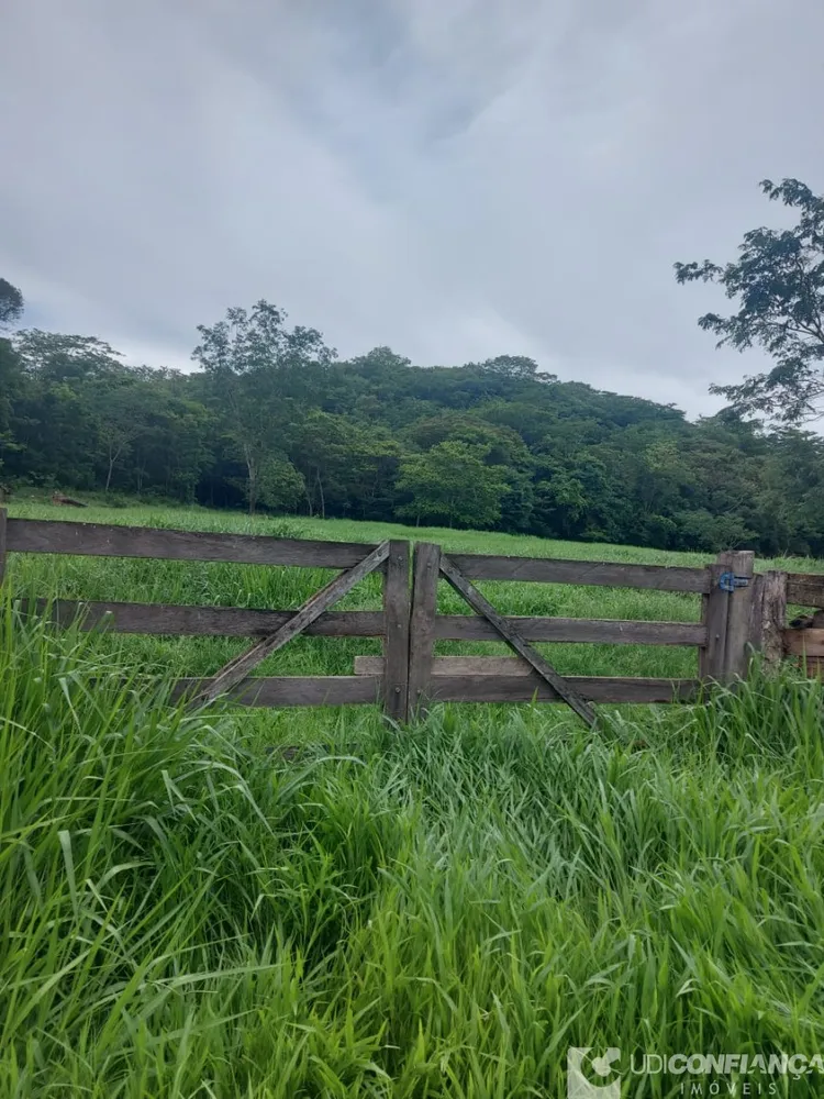 Fazenda - Foto 12