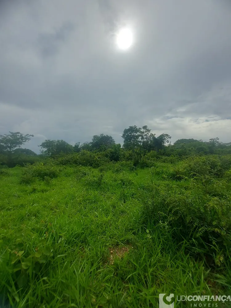 Fazenda - Foto 11