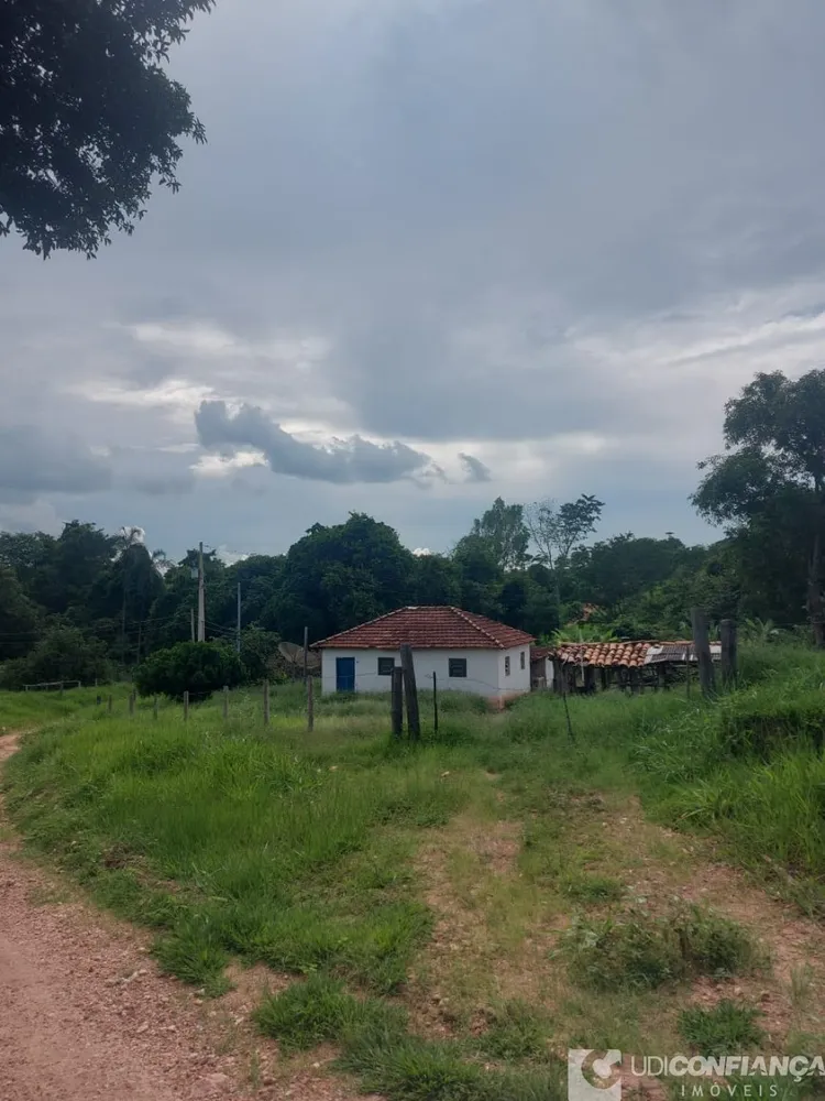 Fazenda - Foto 1