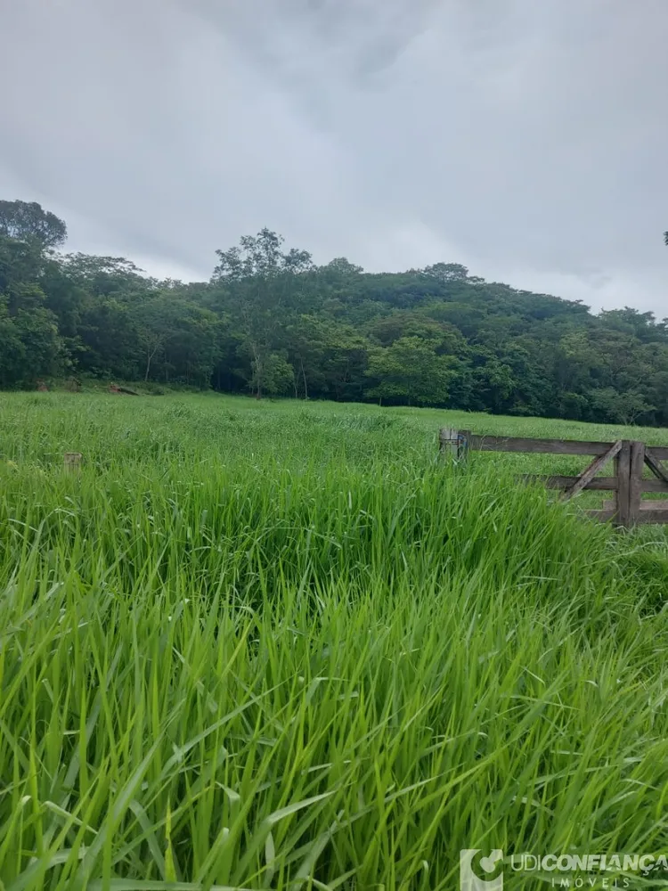 Fazenda - Foto 1