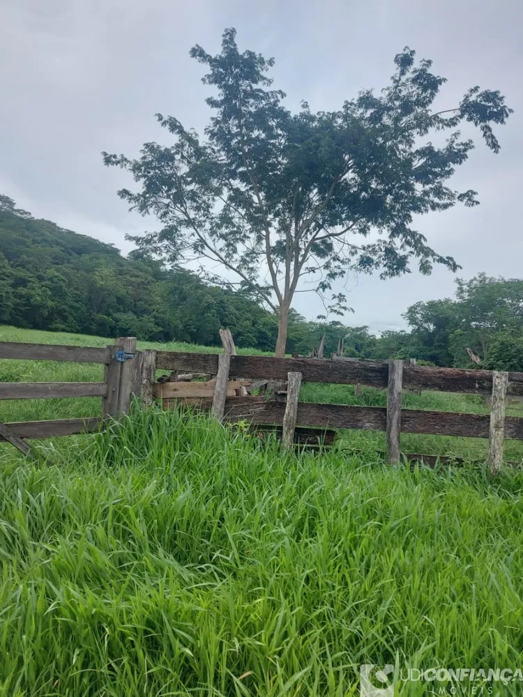 Fazenda - Foto 9