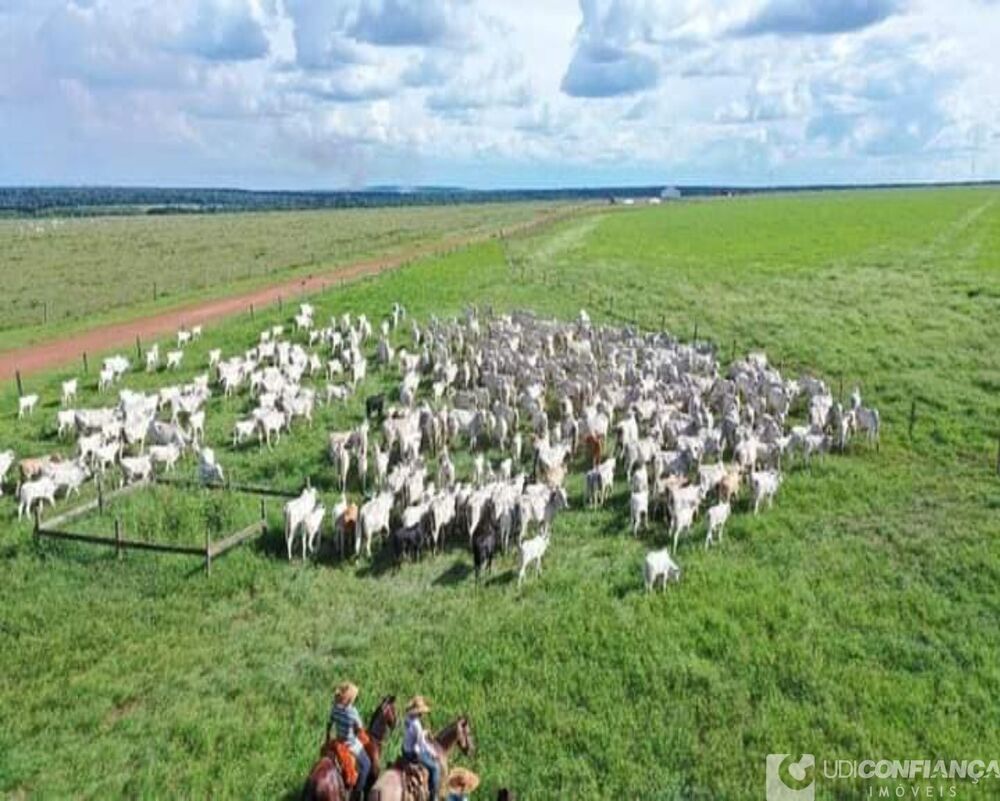 Fazenda à venda - Foto 8