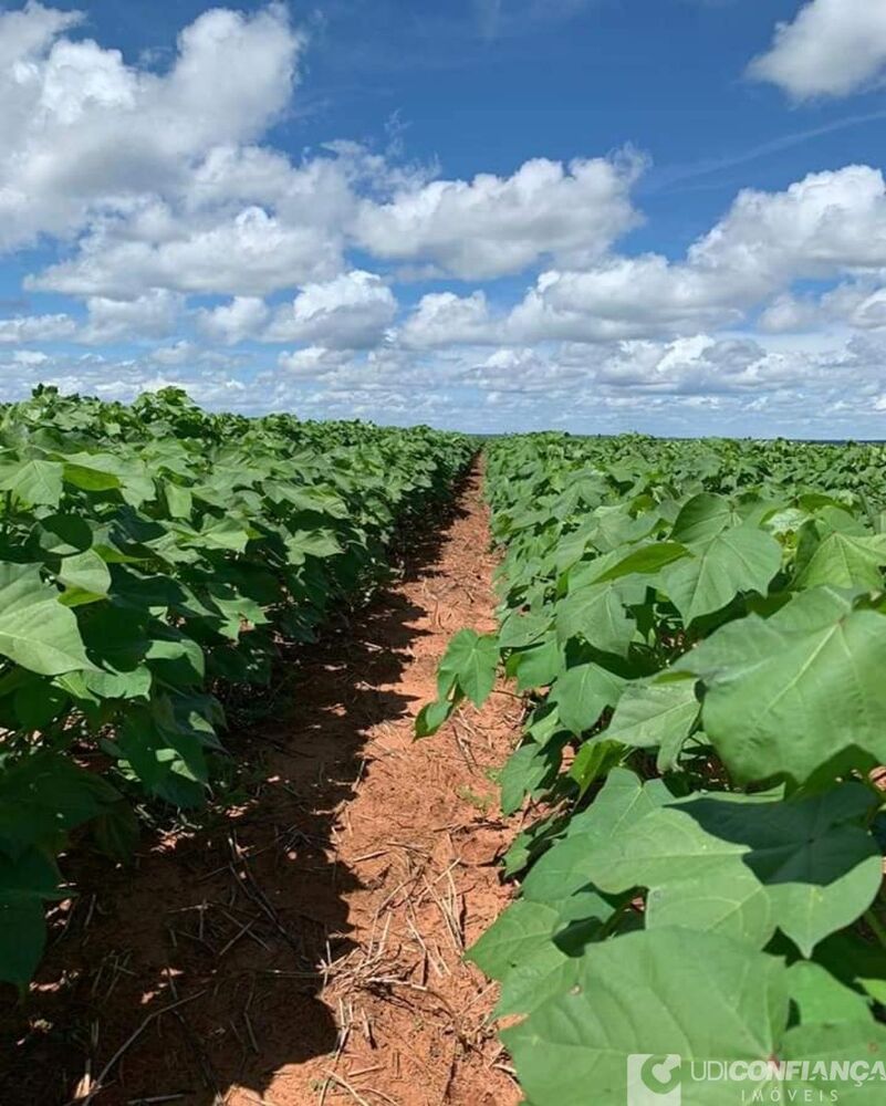 Fazenda à venda - Foto 5