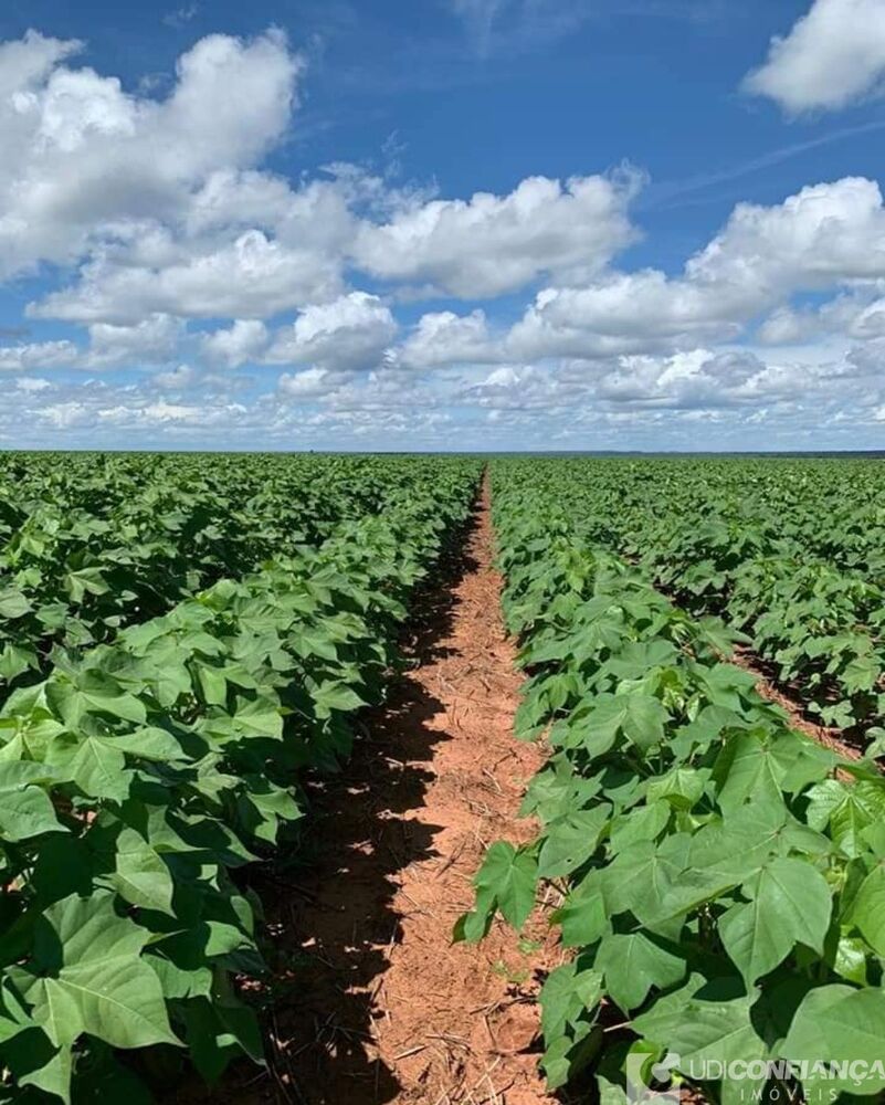 Fazenda à venda - Foto 10