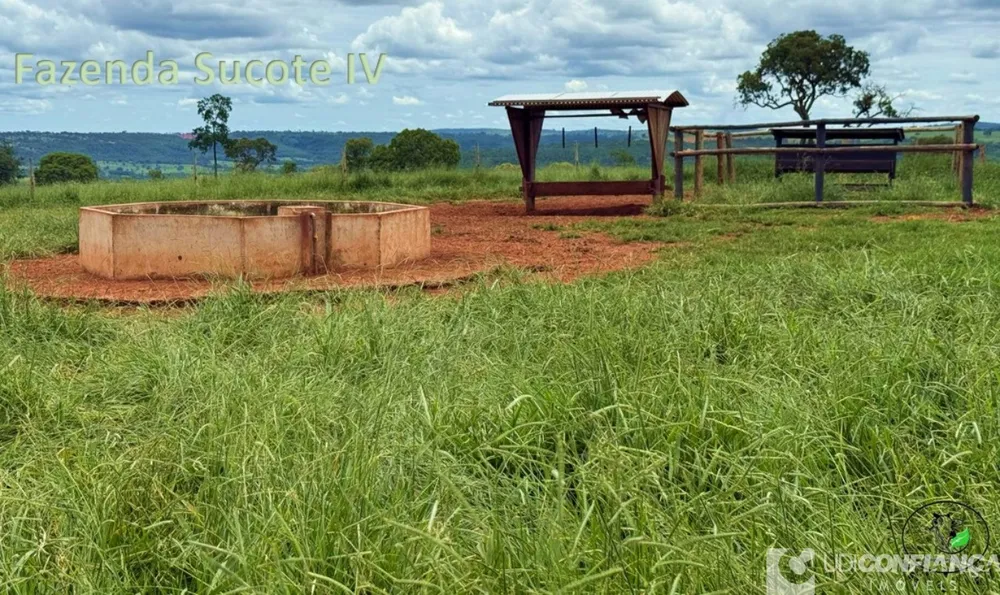 Fazenda - Foto 1