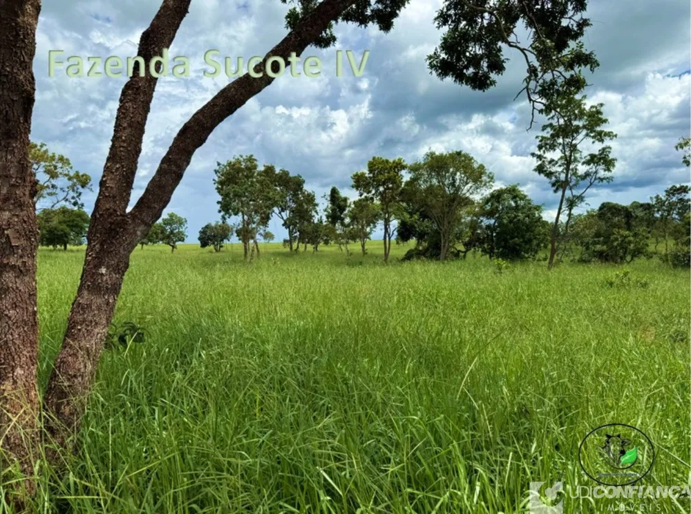 Fazenda - Foto 2