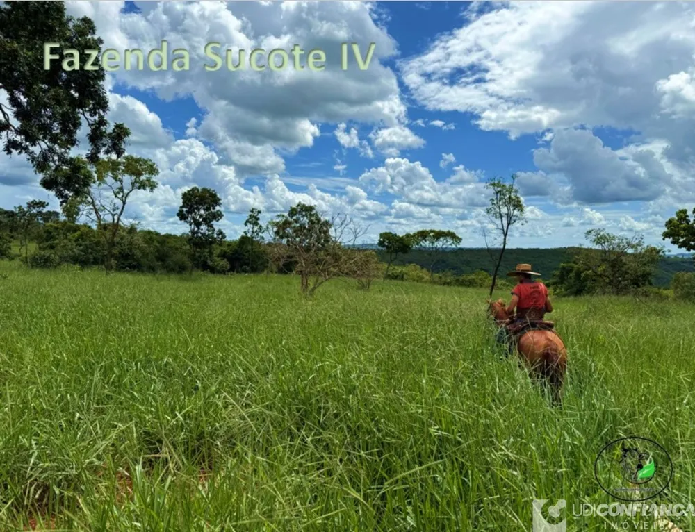 Fazenda - Foto 3