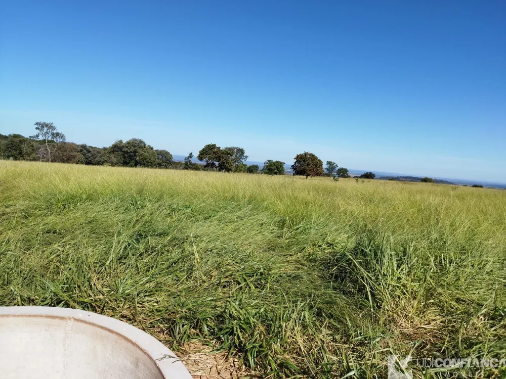 Fazenda - Foto 3