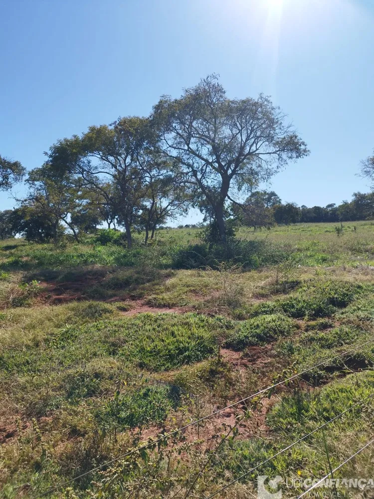 Fazenda - Foto 4