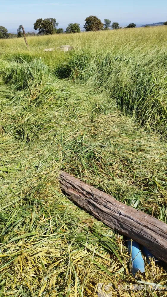 Fazenda - Foto 1
