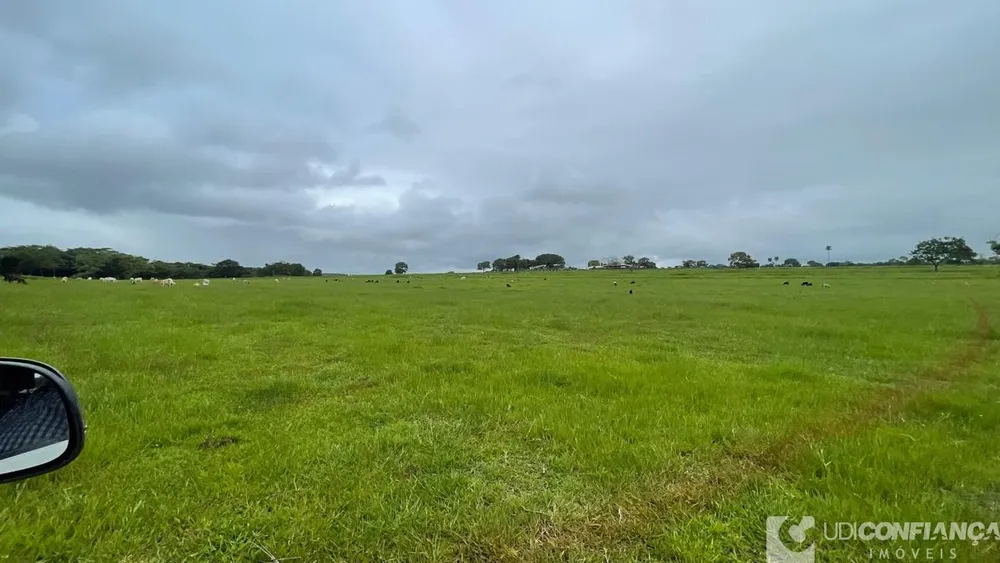 Fazenda - Foto 5