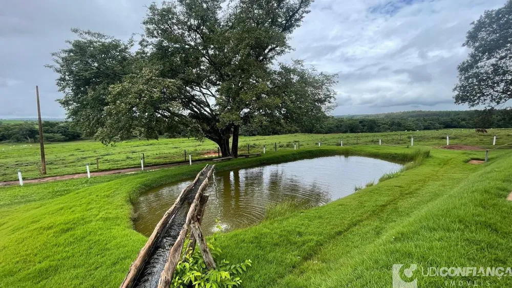 Fazenda - Foto 11