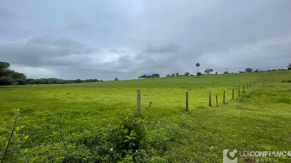 Fazenda - Foto 3