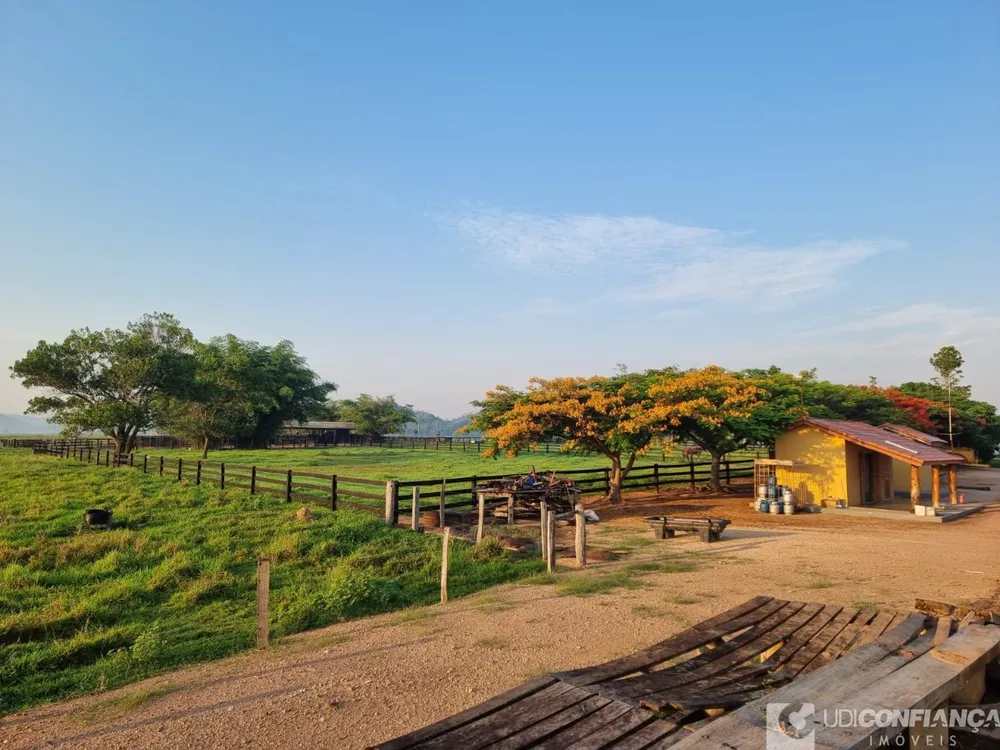 Fazenda - Foto 4