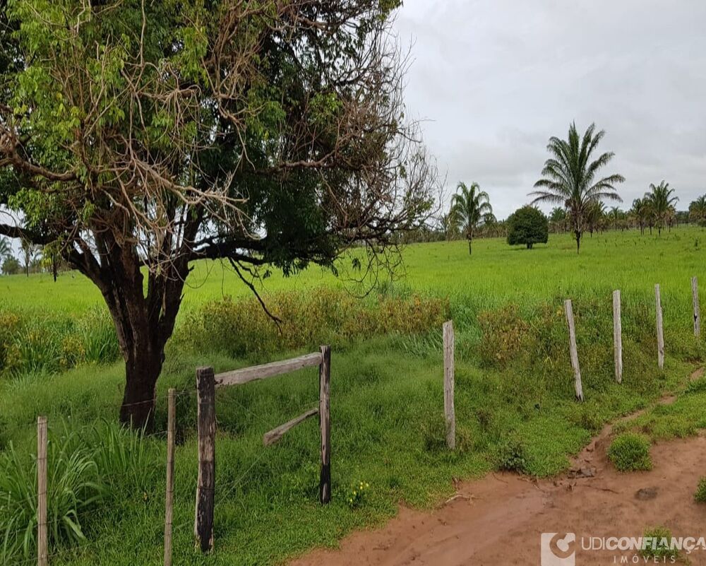 Fazenda à venda, 600m² - Foto 8