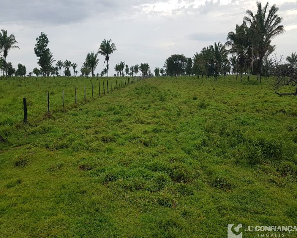 Fazenda à venda, 600m² - Foto 6