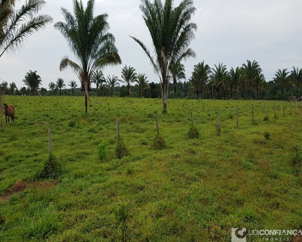 Fazenda à venda, 600m² - Foto 1
