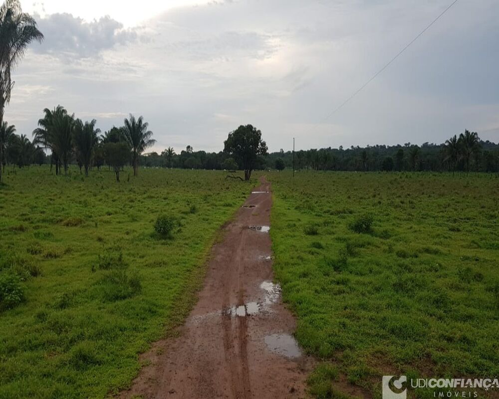 Fazenda à venda, 600m² - Foto 4