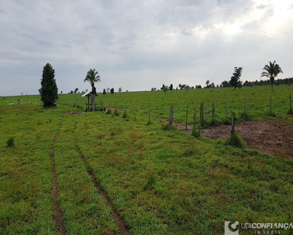 Fazenda à venda, 600m² - Foto 2