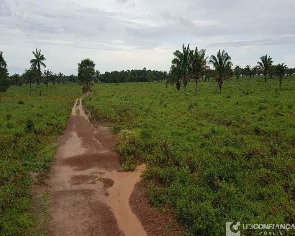Fazenda à venda, 600m² - Foto 3