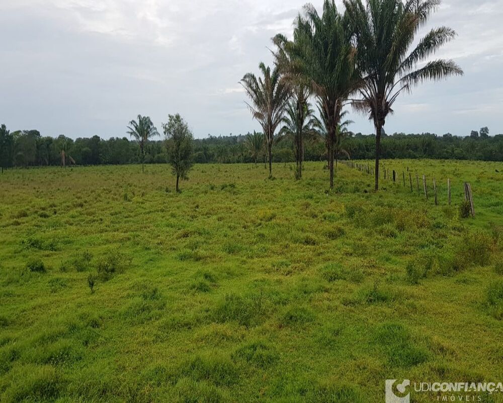 Fazenda à venda, 600m² - Foto 7