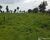 Fazenda, 600 m² - Foto 6