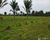 Fazenda, 600 m² - Foto 1