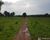 Fazenda, 600 m² - Foto 4