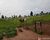 Fazenda, 600 m² - Foto 5