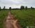 Fazenda, 600 m² - Foto 3