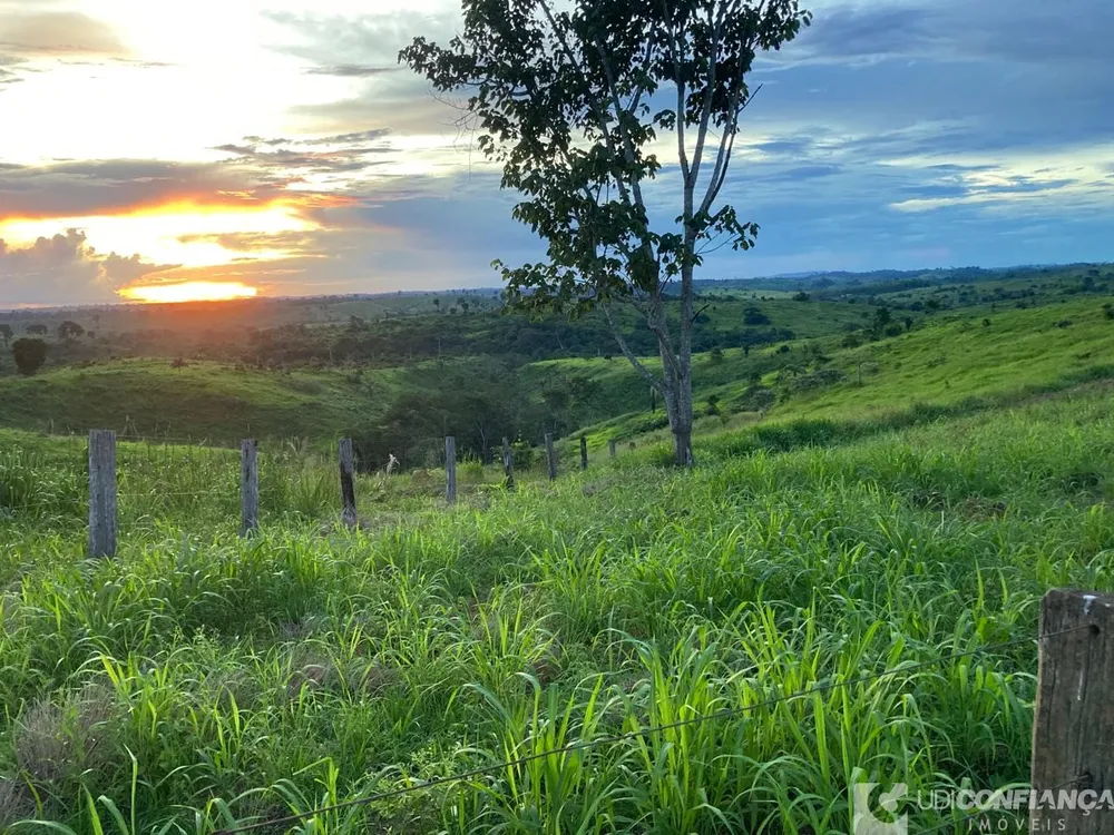 Fazenda - Foto 7