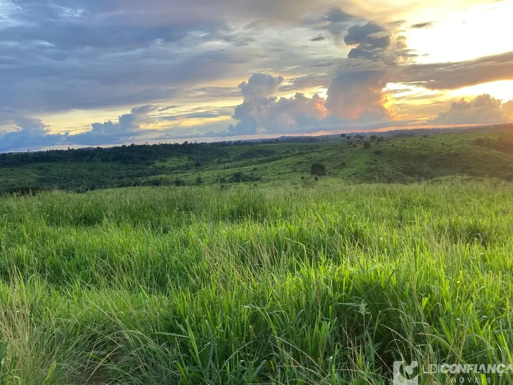 Fazenda - Foto 6